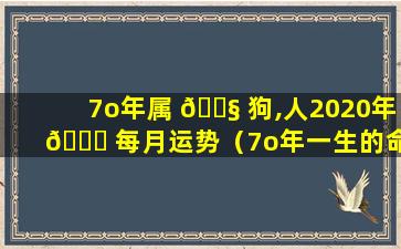 7o年属 🐧 狗,人2020年 🐋 每月运势（7o年一生的命运属狗人2020年下半年运势）